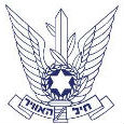 לוגו חיל האוויר